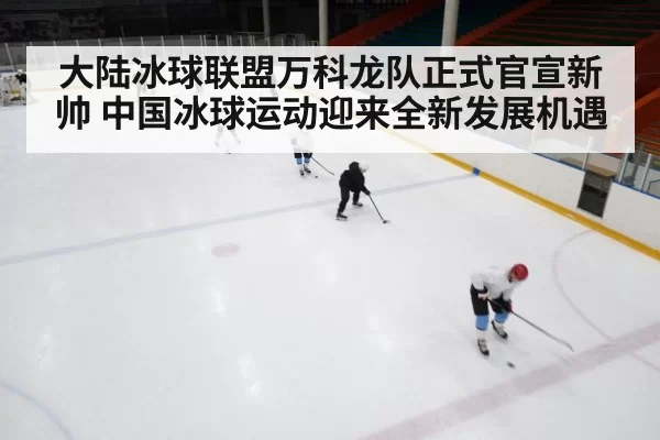 ice hockey rink