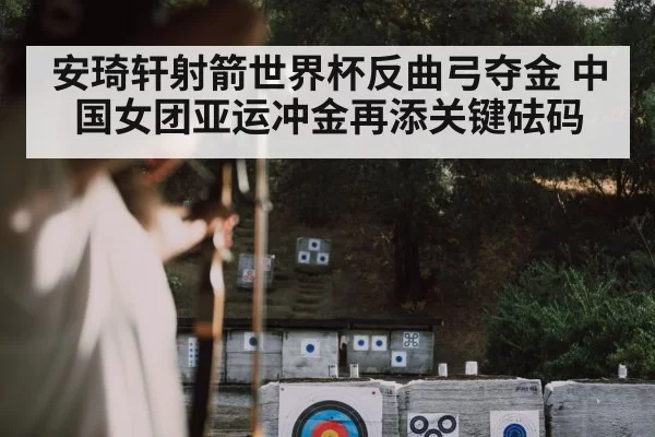 archer focus aiming target